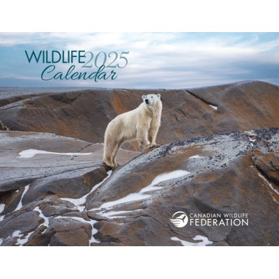 Free 2025 Wildlife Calendar