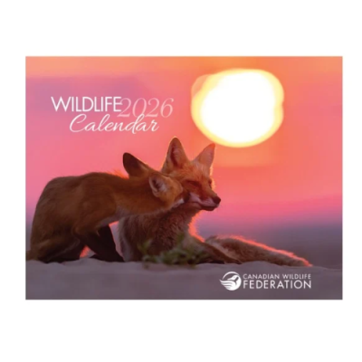 Free 2026 Wildlife Calendar