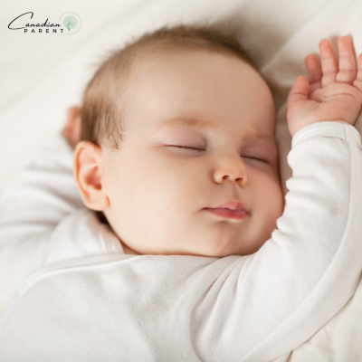 How much do newborns sleep